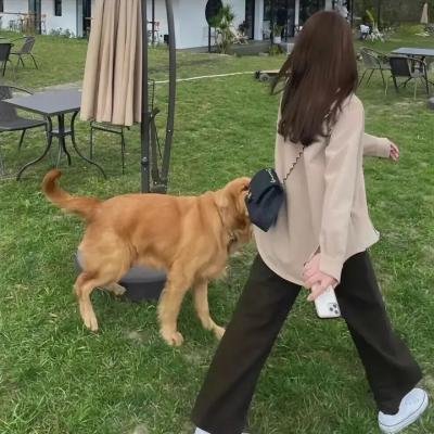 爱情鸟的自救